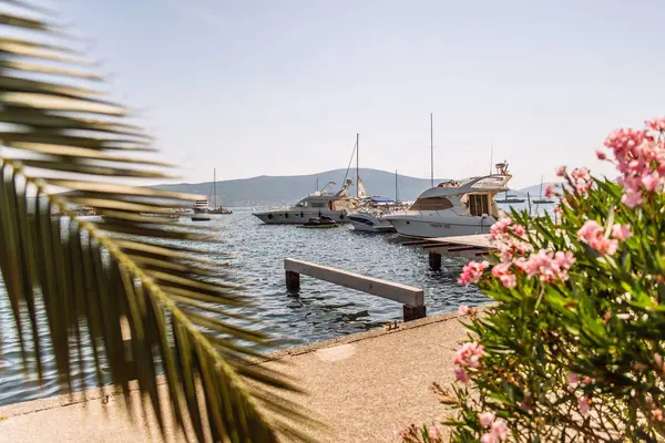 tivat defne yatlar. avuç içi açık üzerinde bırakır. Yaz saati