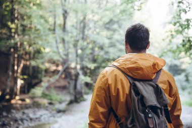 Adam sarı yağmurluk ormanın ortasında dur. Hiking kavramı
