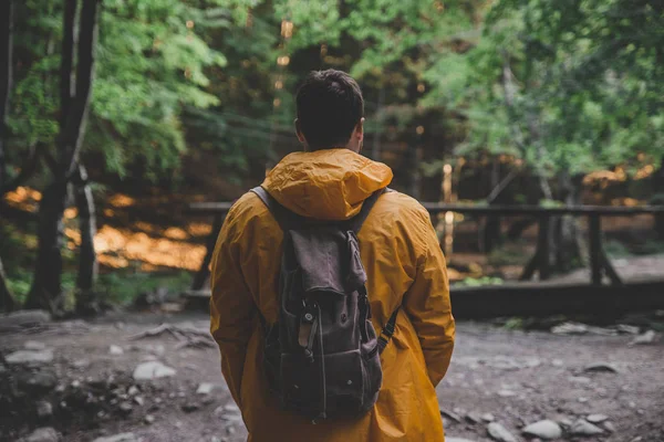 Uomo Stare Mezzo Alla Foresta Impermeabile Giallo Concetto Trekking — Foto Stock