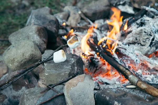 Marshmallows Paus Fogo Acampamento Fundo Campismo — Fotografia de Stock