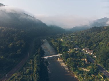 havadan görünümü ile orman Dağları için. sis ormandan çıkageldi. doğa manzara