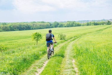 adam yeşil arpa alanındaki iz sürme bisikletle. kopya alanı