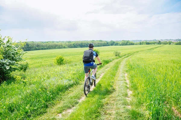 Man Rider Cykel Trail Gröna Korn Fältet Kopia Utrymme — Stockfoto