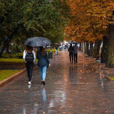 tek bir çatı altında ıslak sonbahar havada yürüyen iki kadın. yere sarı yapraklar