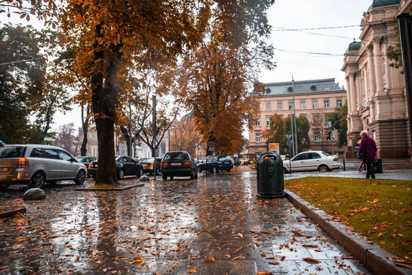 リヴィウ ウクライナ 2018 雨の後の通りの眺め 地面に黄色の葉 秋が来ています — ストック写真