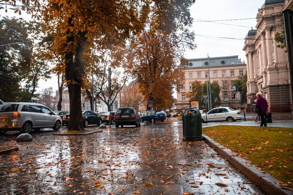 Lviv, Ukrayna - 7 Eylül 2018: yağmur sonra sokak görünümünü. Sarı yapraklar yere. Sonbahar geliyor