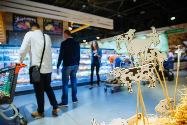 cow and goat cheese symbols in grocery store. copy space