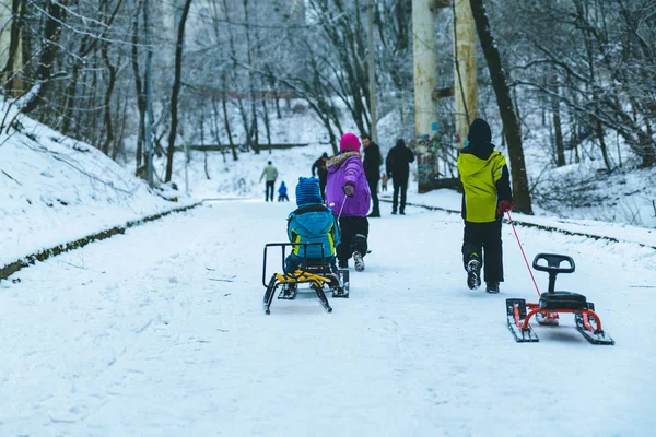 Crianças Livrar Trenó Dia Inverno Parque Cidade — Fotografia de Stock