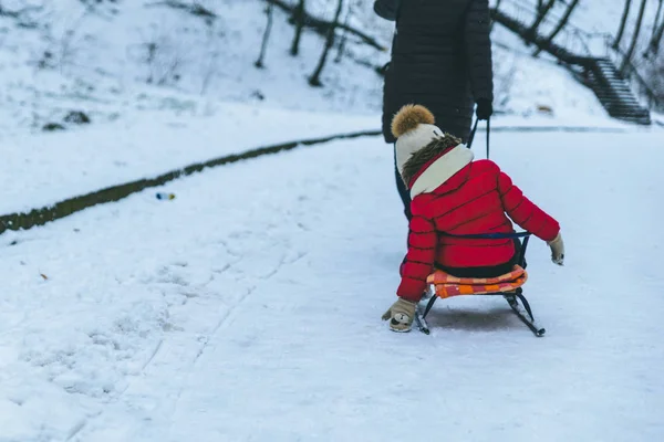 Barnen Bli Släde Vinterdag Stadsparken — Stockfoto