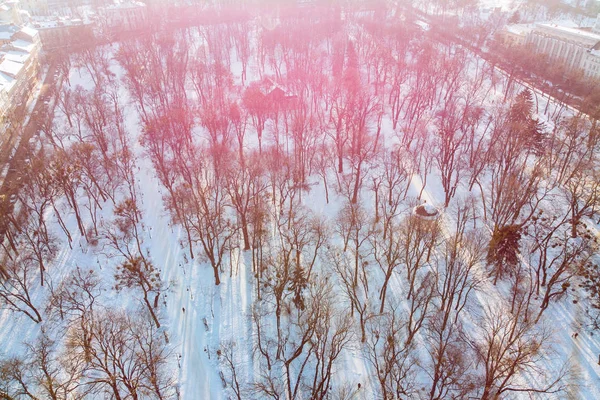 Drony Městskému Parku Západ Slunce Zimě — Stock fotografie
