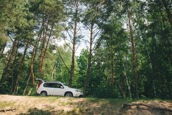 Suv Blanco Bosque Concepto Viaje Coche Estilo Vida — Foto de Stock