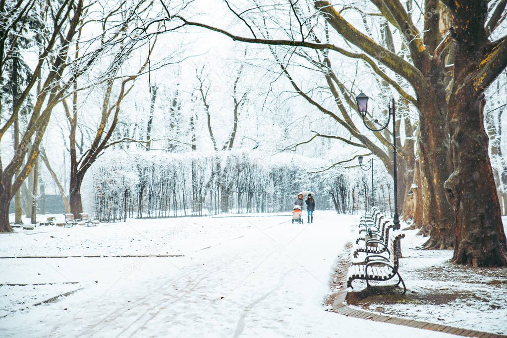 snowed city park. winter time. christmas season concept