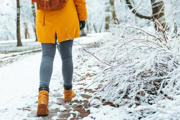 Frau Spaziert Durch Verschneiten Stadtpark Blick Von Hinten Rucksack Winterkonzept — Stockfoto