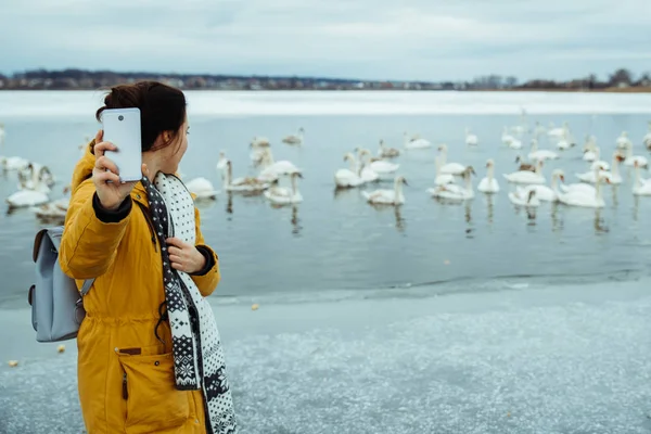 Жінка Годує Лебедів Замороженому Зимовому Озері — стокове фото