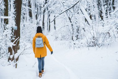 dört gözle kar yağdı ormanda duran kadın. arkadan görüntüleyin. kopya alanı