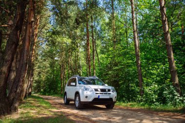 Beyaz cipin içinde orman. araba seyahat kavramı. yaşam tarzı