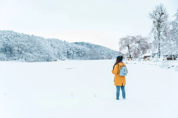 Жінка стоїть на замерзлому озері з красивим краєвидом — стокове фото