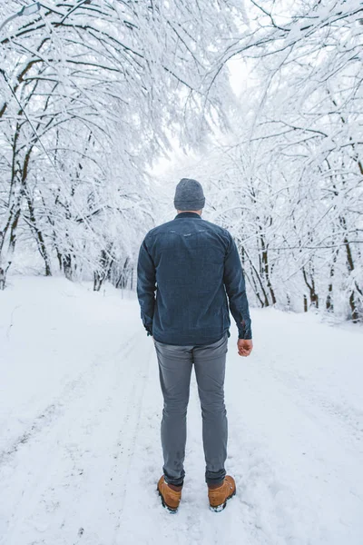 Hombre de pie en el camino nevado en el bosque — Foto de Stock