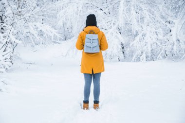 dört gözle kar yağdı ormanda duran kadın. arkadan görüntüleyin. kopya alanı