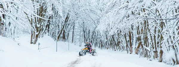 Två Personer Åka Fyrhjuling Julfest Skog Koncept — Stockfoto