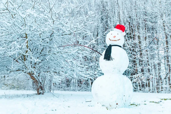 Kardan Adam Donmuş Şehir Parkı Kopya Alanı Merkezinde — Stok fotoğraf