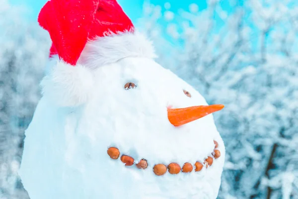Sneeuwpop Met Kerstmuts Close Wintertijd — Stockfoto