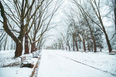 kar yağdı Şehir Parkı. kış zamanı. Noel Sezon kavramı