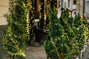 dekorasyon ışıklar açık havada kafede Noel ağacı