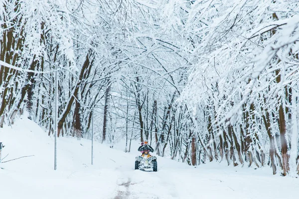 Duas Pessoas Andam Quadriciclo Conceito Floresta Nevada — Fotografia de Stock