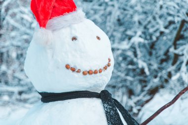 kardan adam Noel Baba şapkası ile kış zaman kapatın