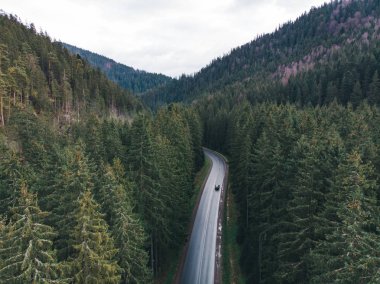 ıslak yol ile dağlarda hiç yeşil orman genel gider görünümünü