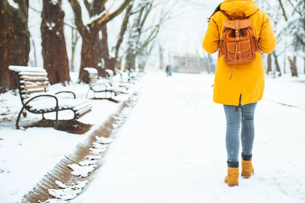 Mujer Caminando Por Parque Ciudad Nevada Vista Desde Atrás Mochila — Foto de Stock