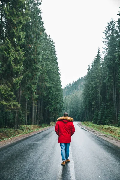 Haină Roșie Mers Jos Jos Drum Pădure Vreme Ploioasă Iarnă — Fotografie, imagine de stoc