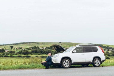 kırık arabanın yakınında telefon ile oturan adam yardım arıyor. Road trip sorunları