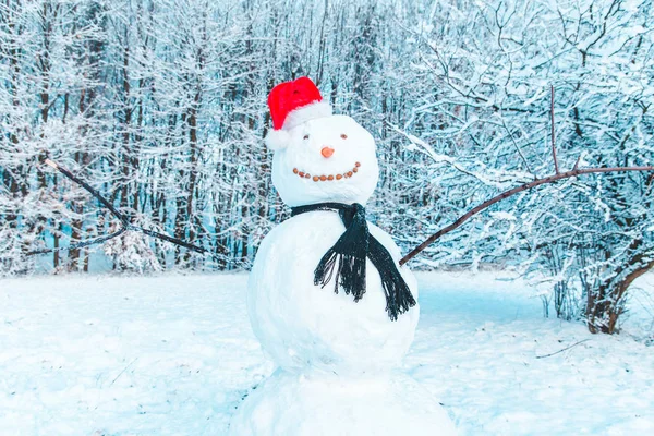 Muñeco Nieve Centro Del Espacio Copia Del Parque Congelado Ciudad —  Fotos de Stock