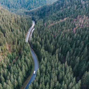 ıslak yol ile dağlarda hiç yeşil orman genel bakış. yol gezi konsepti