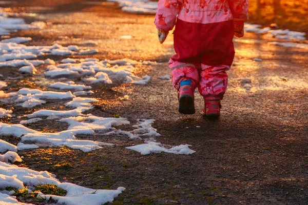 Unga Liten Toddler Flicka Genom Stadsparken Sunset Visa Bakifrån Spela — Stockfoto