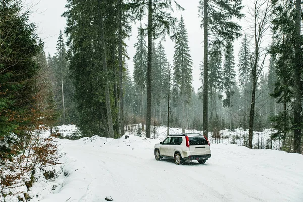 Suv Auto Met Ketting Wielen Gesneeuwde Bos Road Reis — Stockfoto