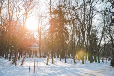 kar kış park Avrupa şehrin görünümünü. parlak gün