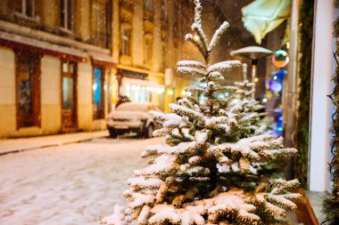 köknar ağacı tarafından kar kaplı yakın City geceleri sokak. Noel zamanı