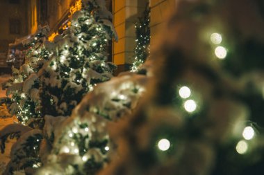 köknar ağacı tarafından kar kaplı yakın City geceleri sokak. Noel zamanı