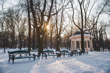 kar kış park Avrupa şehrin görünümünü. parlak gün
