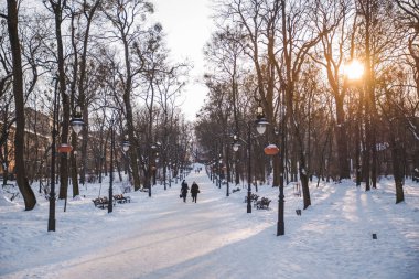 kar kış park Avrupa şehrin görünümünü. parlak gün