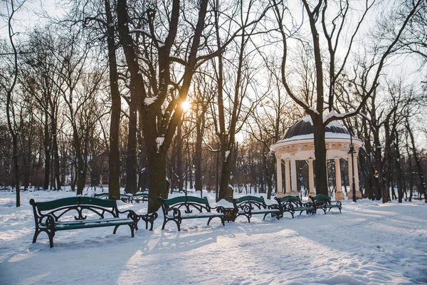 Вид Снежного Зимнего Парка Европейского Города Shiny Day — стоковое фото