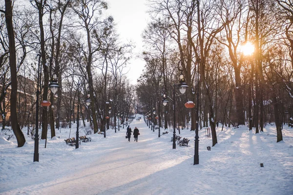 Vista Del Parque Invernal Nevado Ciudad Europea Día Brillante — Foto de Stock