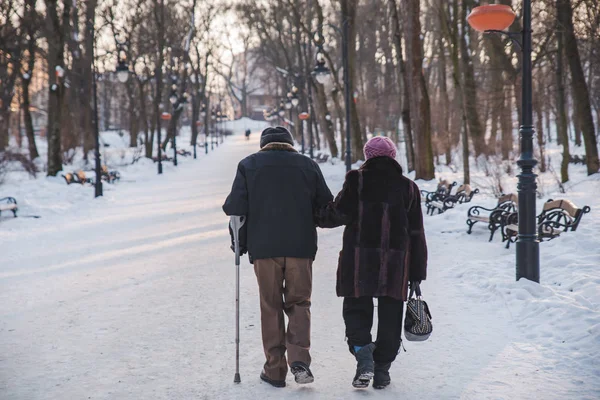 Pareja Ancianos Caminando Juntos Por Parque Ciudad Invierno Preocupan Uno — Foto de Stock