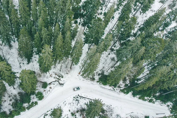Εναέρια Άποψη Του Suv Αυτοκινήτων Στο Δάσος Του Χιονισμένου Χειμώνα — Φωτογραφία Αρχείου