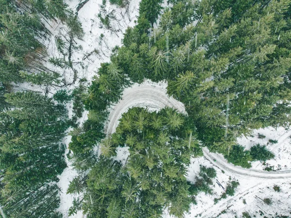 Εναέρια Άποψη Του Δρόμου Trail Στο Ελατοδάσος Επιβάρυνση — Φωτογραφία Αρχείου