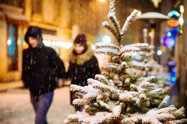 köknar ağacı tarafından kar kaplı yakın City geceleri sokak. Noel zamanı