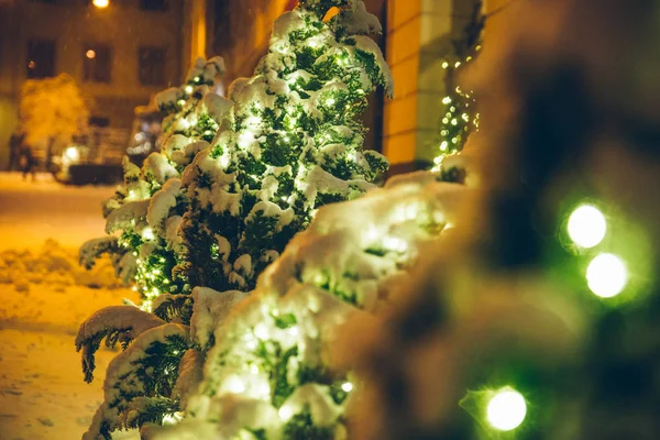 Abeto Cubierto Nieve Cerca Calle Ciudad Por Noche Tiempo Navidad —  Fotos de Stock